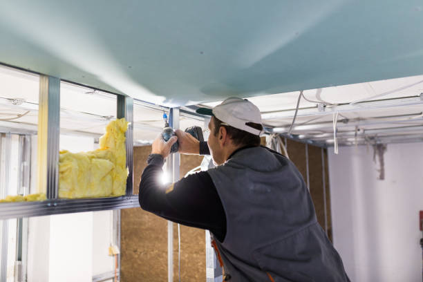 Best Eco-Friendly or Green Insulation Solutions  in Commack, NY