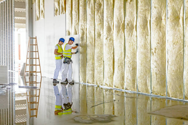 Best Basement Insulation  in Commack, NY